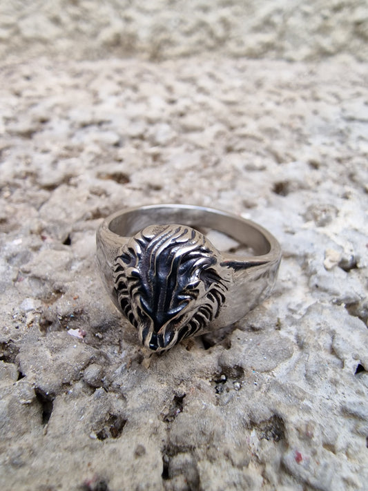 Ατσάλινα δαχτυλίδια σε διάφορα σχέδια